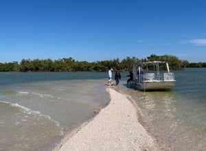 WILDLIFE SIGHTSEEING & SHELLING EXCURSION | MARCO ISLAND, FLORIDA