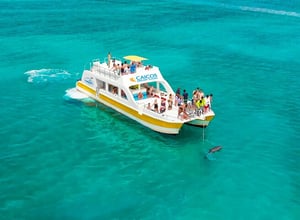 SNORKELING & IGUANA ISLAND MORNING CRUISE FROM PROVIDENCIALES | HALF DAY | TURKS & CAICOS