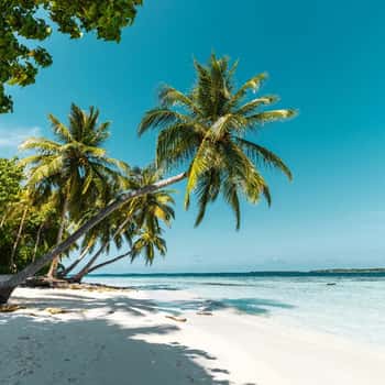 Turks and Caicos Islands