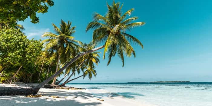 Turks and Caicos Islands